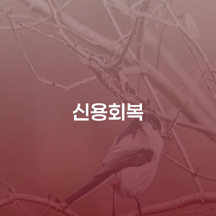 도박 개인회생 성공사례 개인회생으로 해결 급증하는