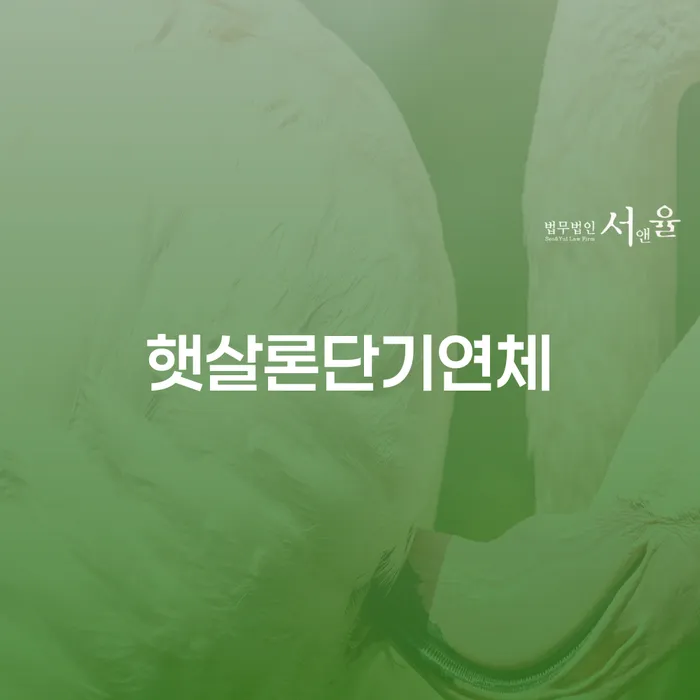 대한재무 개인회생 제도 최신정보
