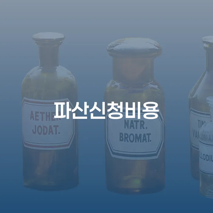파산신고 빚갚는 방법 접수를