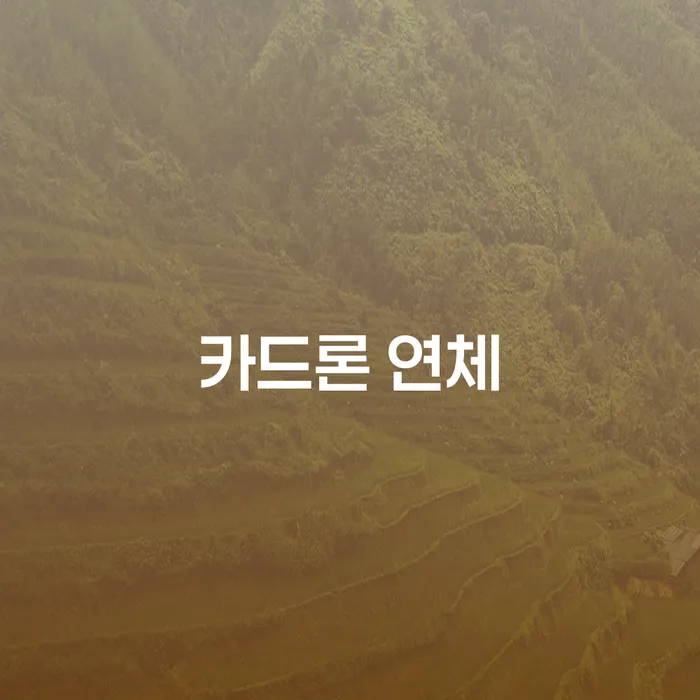 남양주시 신용카드연체시 개인회생 처리방법 선택해야 하는