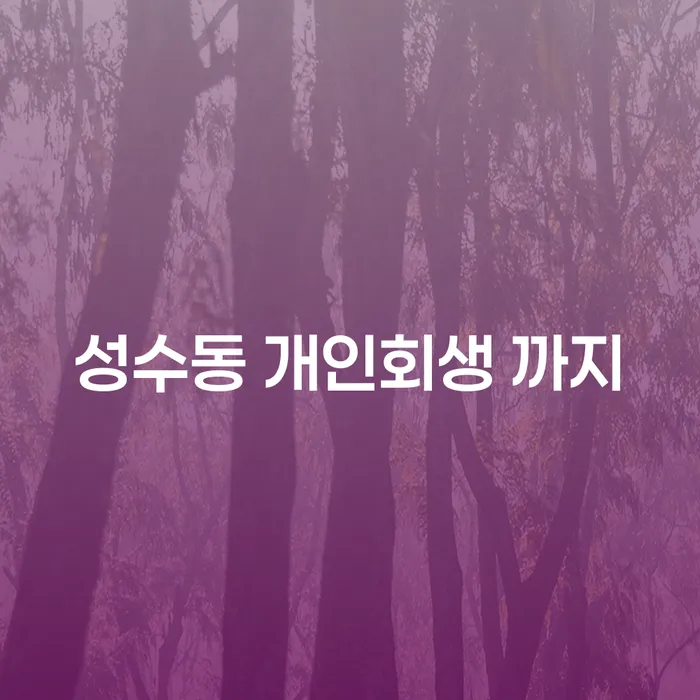 성수동 개인회생 까지