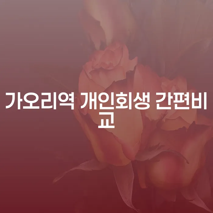 가오리역 개인회생 간편비교